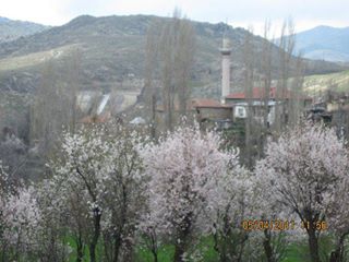 Sivrihisar Koçaş Köyü Resimleri 4