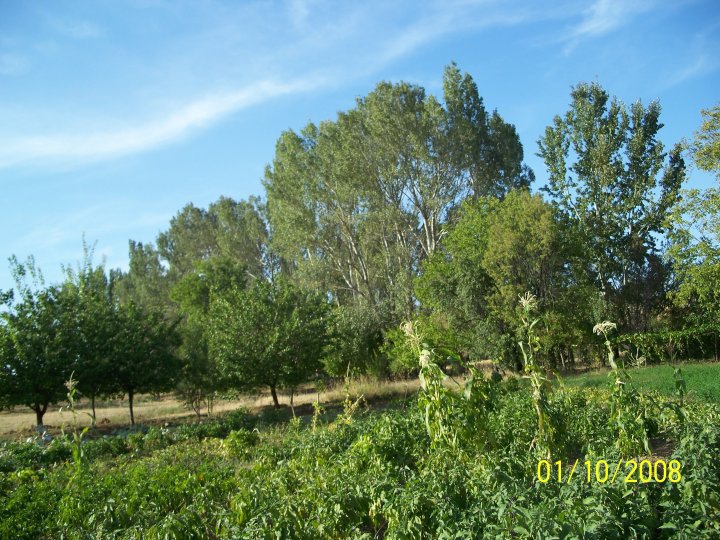 Sivrihisar Koçaş Köyü Resimleri 6