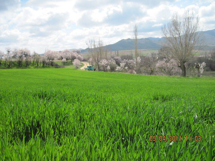 Sivrihisar Koçaş Köyü Resimleri 7
