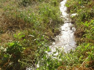Sivrihisar Kurtşeyh Köyü Resimleri 1