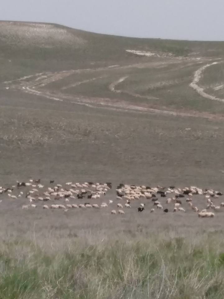 Sivrihisar Mülk Köyü Resimleri 6