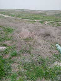 Sivrihisar Mülk Köyü Resimleri 9