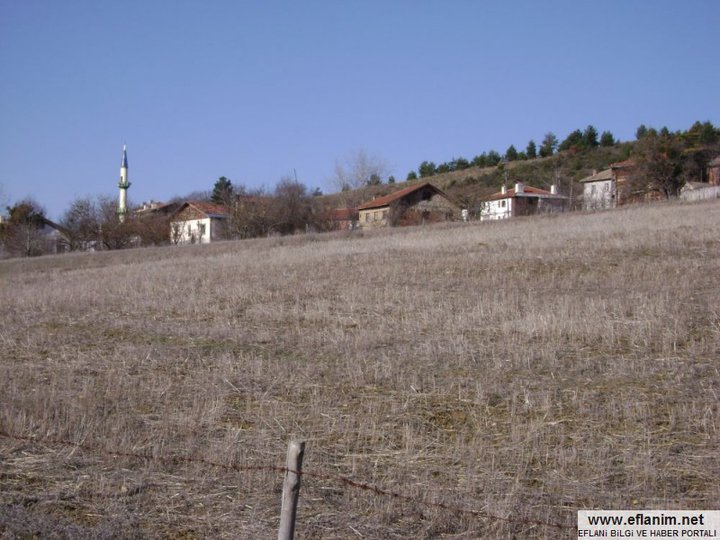 Eflani Günlüce Köyü Resimleri 5