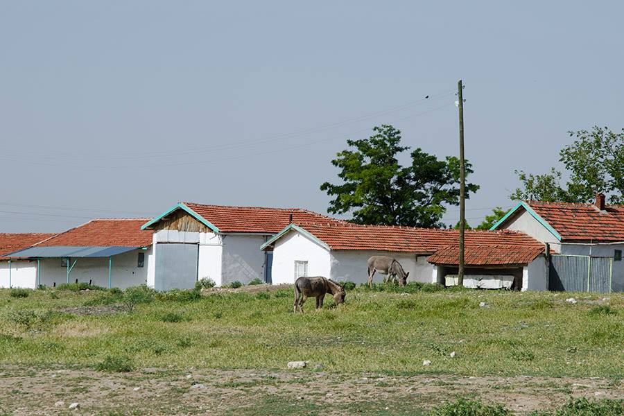 Sivrihisar Paşakadın Köyü Resimleri 3