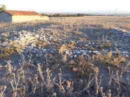 Sivrihisar Paşakadın Köyü Resimleri 7