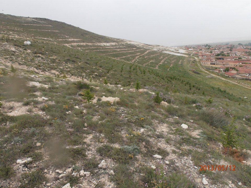 Sivrihisar Yenidoğan Köyü Resimleri 2