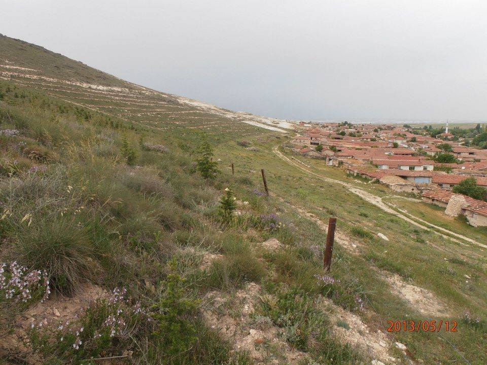 Sivrihisar Yenidoğan Köyü Resimleri 3