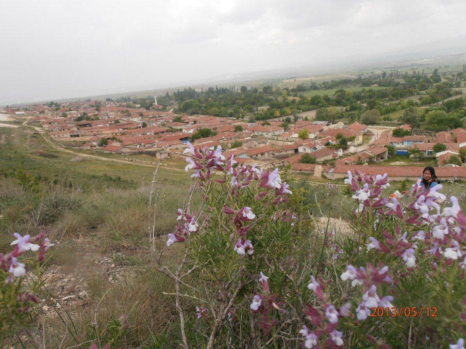 Sivrihisar Yenidoğan Köyü Resimleri 4
