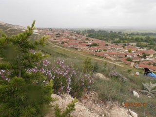 Sivrihisar Yenidoğan Köyü Resimleri 5
