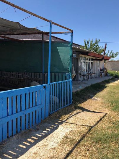 Sivrihisar Yeşilköy Köyü Resimleri 4