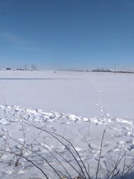 Tepebaşı Aşağıkartal Köyü Resimleri 8