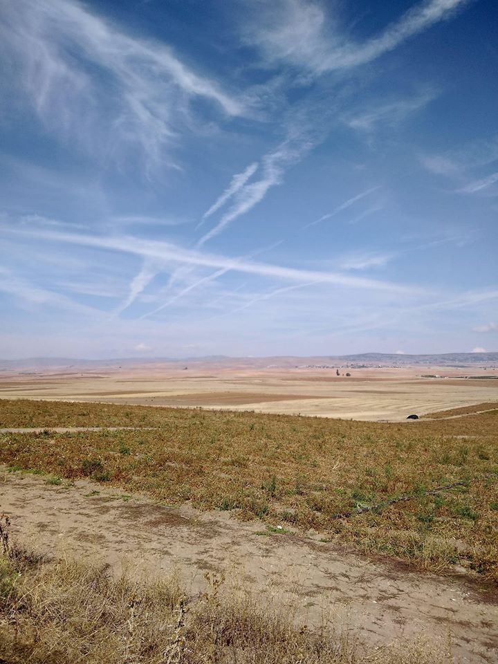 Tepebaşı Aşağısöğütönü Köyü Resimleri 1