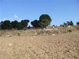 Tepebaşı Behçetiye Köyü Resimleri 2