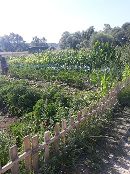 Tepebaşı Gökdere Köyü Resimleri 1