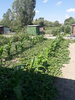 Tepebaşı Gökdere Köyü Resimleri 2