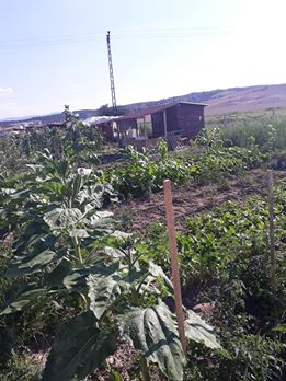 Tepebaşı Gökdere Köyü Resimleri 3