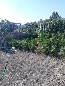 Tepebaşı Gökdere Köyü Resimleri 4