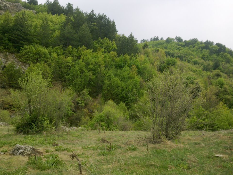 Eflani Karacapınar Köyü Resimleri 1