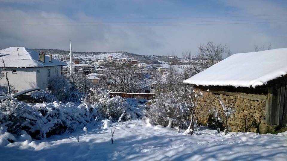 Eflani Karacapınar Köyü Resimleri 3