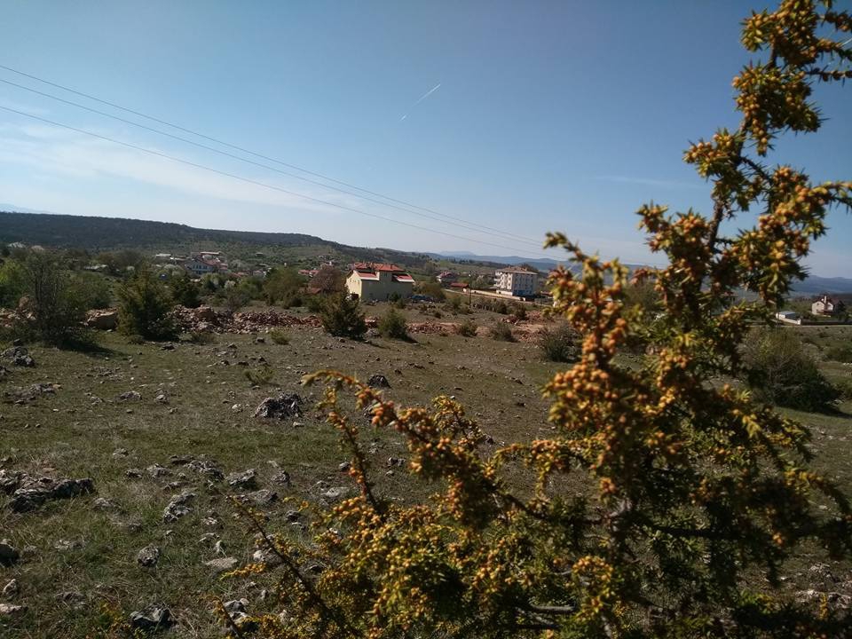 Eflani Karacapınar Köyü Resimleri 4