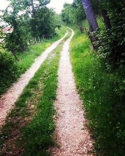 Eflani Karataş Köyü Resimleri 2