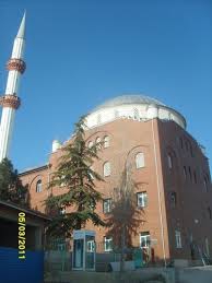 Tepebaşı Satılmışoğlu Köyü 4