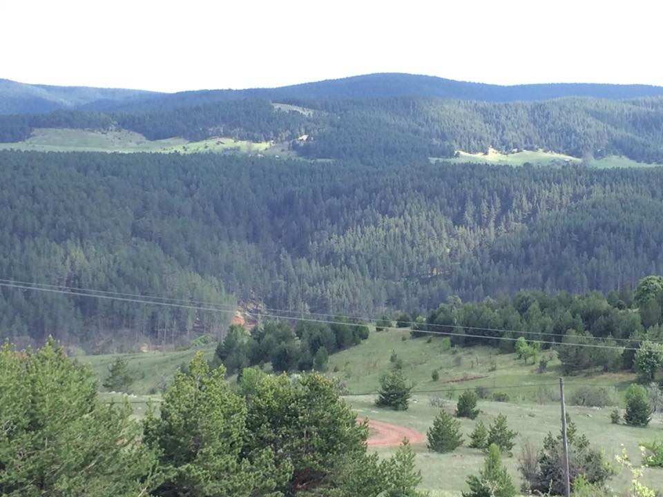 Eskipazar Adiller Köyü Resimleri 12