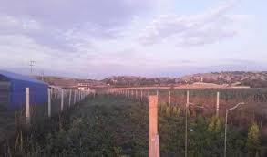 Tepebaşı Yeniakçayır Köyü Resimleri 2