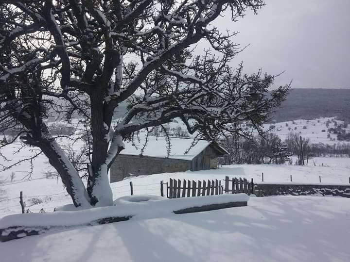 Eflani Karlı Köyü Resimleri 4