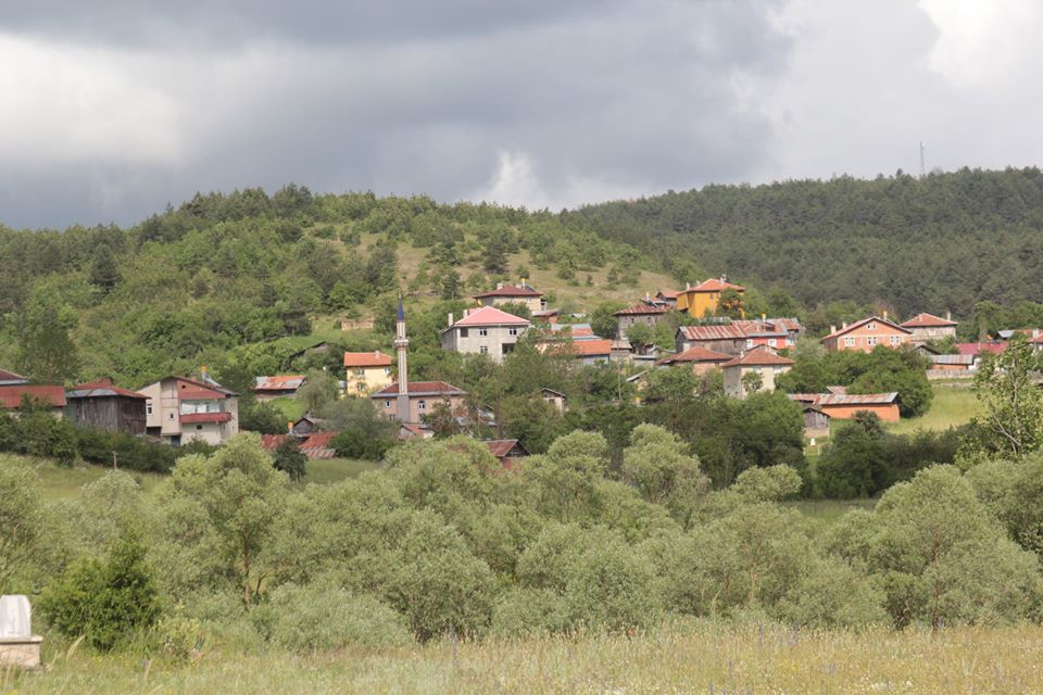 Eflani Karlı Köyü Resimleri 6