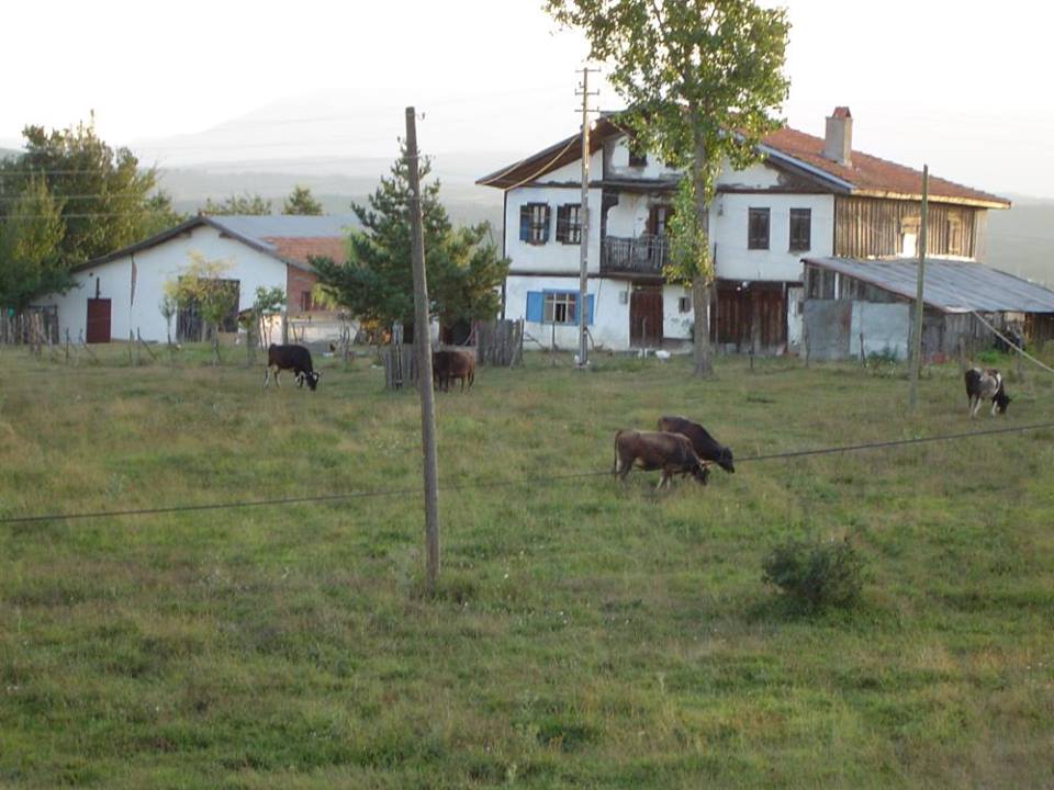 Eflani Kocacık Köyü Resimleri 1