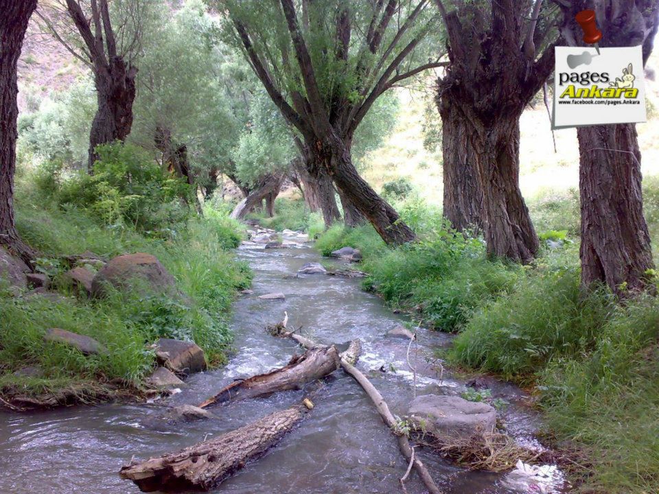 Ayaş Bayat Köyü Resimleri 1