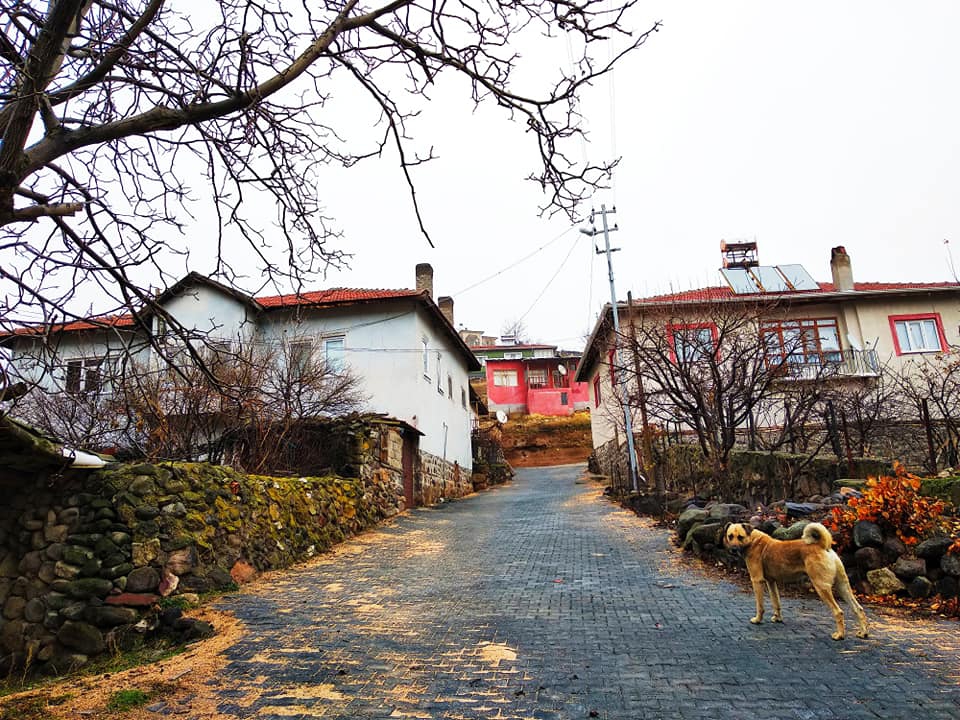 Ayaş İlhan Köyü Resimleri 8