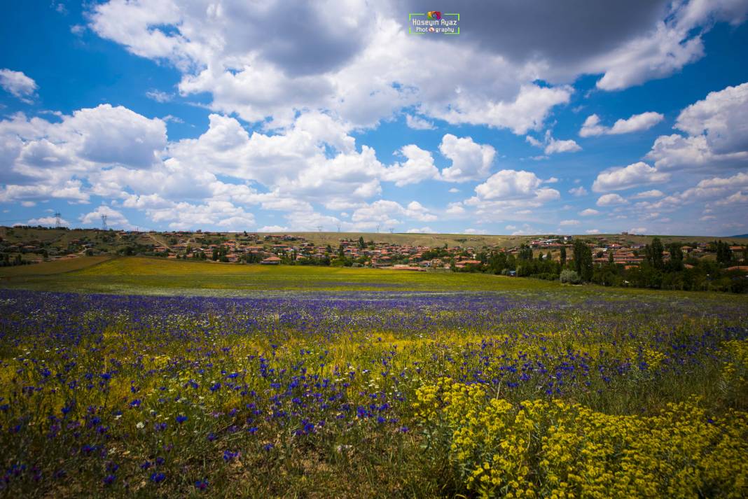 Balâ Abazlı Köyü Resimleri 9