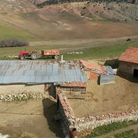 Balâ Akkoyunlu Köyü Resimleri 3