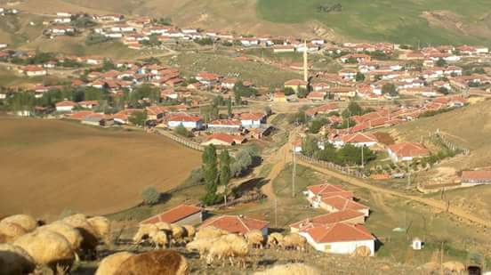 Balâ Akkoyunlu Köyü Resimleri 7