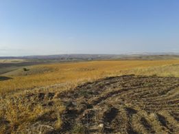 Balâ Belçarsak Köyü Resimleri 8