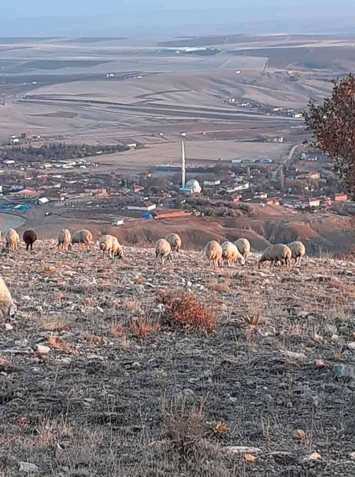 Balâ Büyükboyalık Köyü Resimleri 2