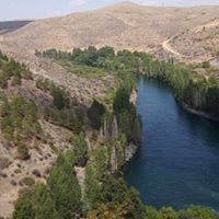 Balâ Büyükcamili Köyü Resimleri 9