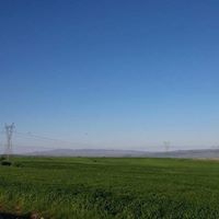 Balâ Çatalçeşme Köyü Resimleri 3