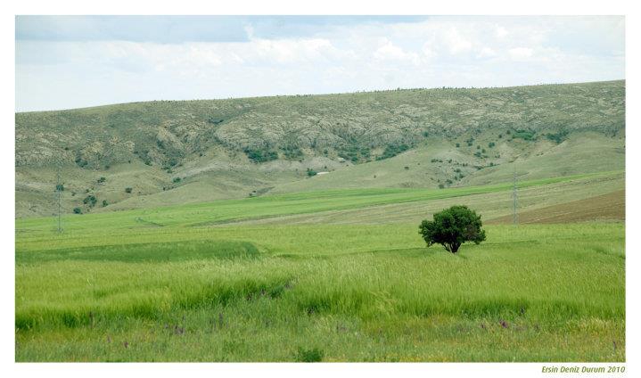 Balâ Çatalören Köyü Resimleri 8