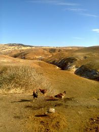 Balâ Çiğdemli Köyü Resimleri 1