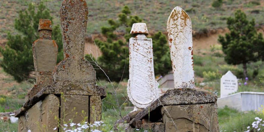 Balâ Çiğdemli Köyü Resimleri
