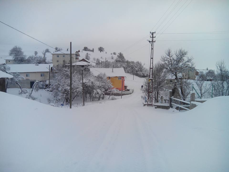 Eflani Osmanlar Köyü Resimleri 4