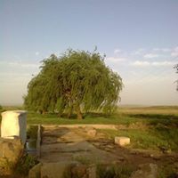 Balâ Karahamzalı Köyü Resimleri 3