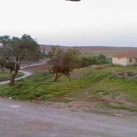 Balâ Karahamzalı Köyü Resimleri 9