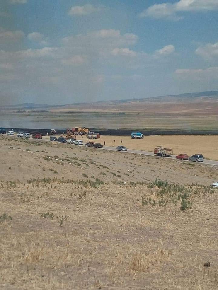 Balâ Köseli Köyü Resimleri 2