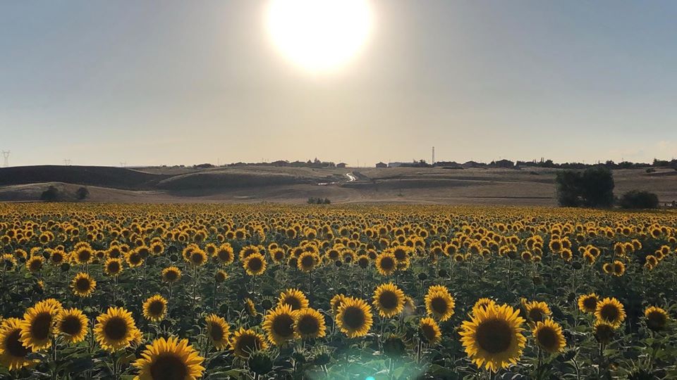 Balâ Köseli Köyü Resimleri 3