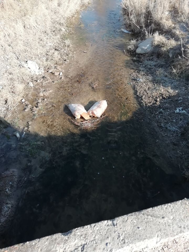 Balâ Köseli Köyü Resimleri 4