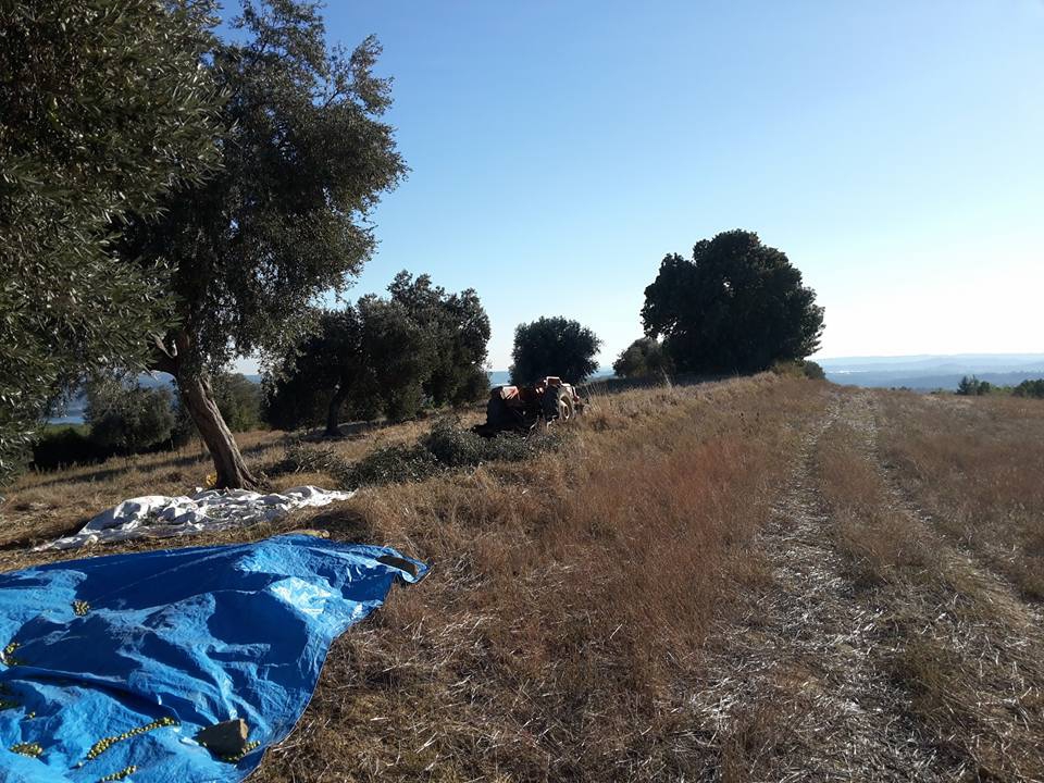 Adana Karaisalı Ömerli Köyü Resimleri 2